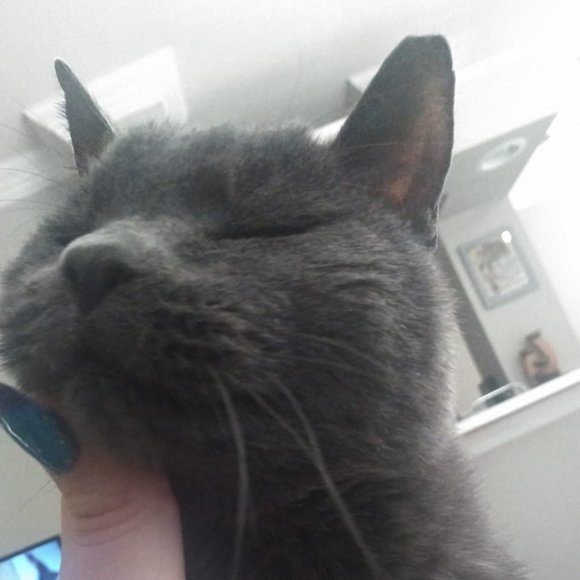 Sales - Please Read! 💕 ❧ - Picture 5 of 12